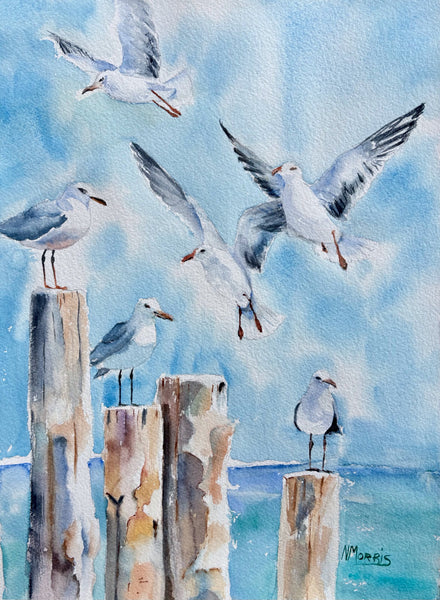 "Gathering Seagulls"