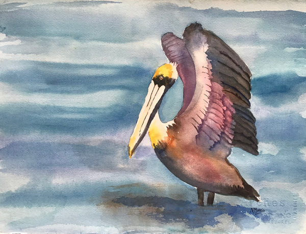 "Pelican"