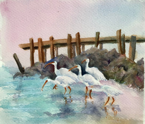 "Ibis at the Beach"