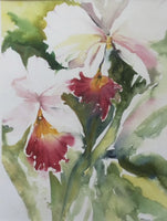 "Orchid"