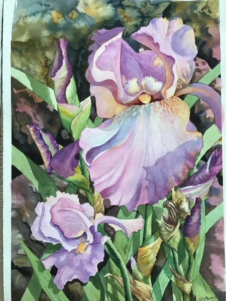 "Iris"